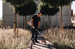 Trädgårdsmästare från SBC trimmar gräs på brf:s innergård