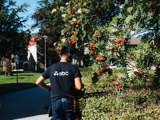 Trädgårdsskötare från SBC klipper häck på brf:ens innergård