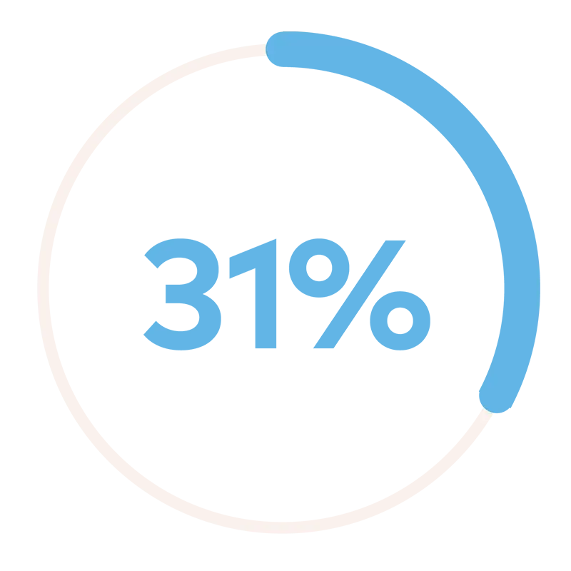 Cirkelgraf med 31 procent.