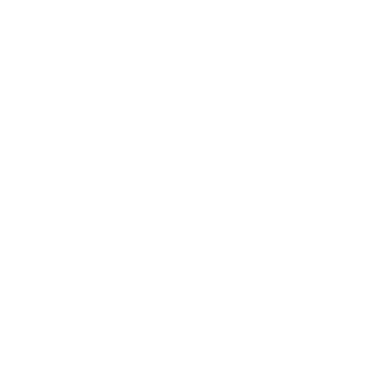 Ikon. Elektroniska passagesystem.