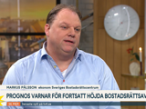 Markus Pålsson intervjuas på TV4 nyhetsmorgon